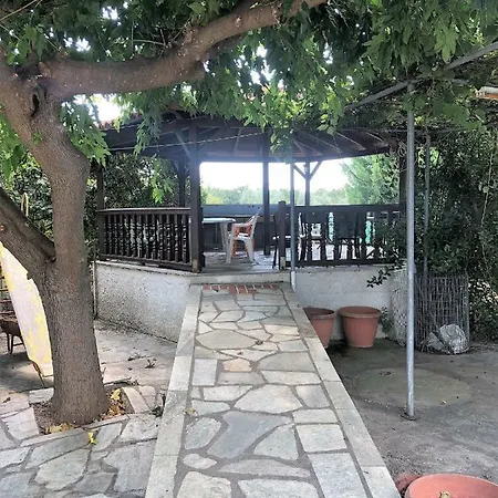 Traditional Cozy Hoyse